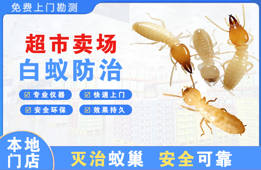 合肥超市卖场白蚁防治