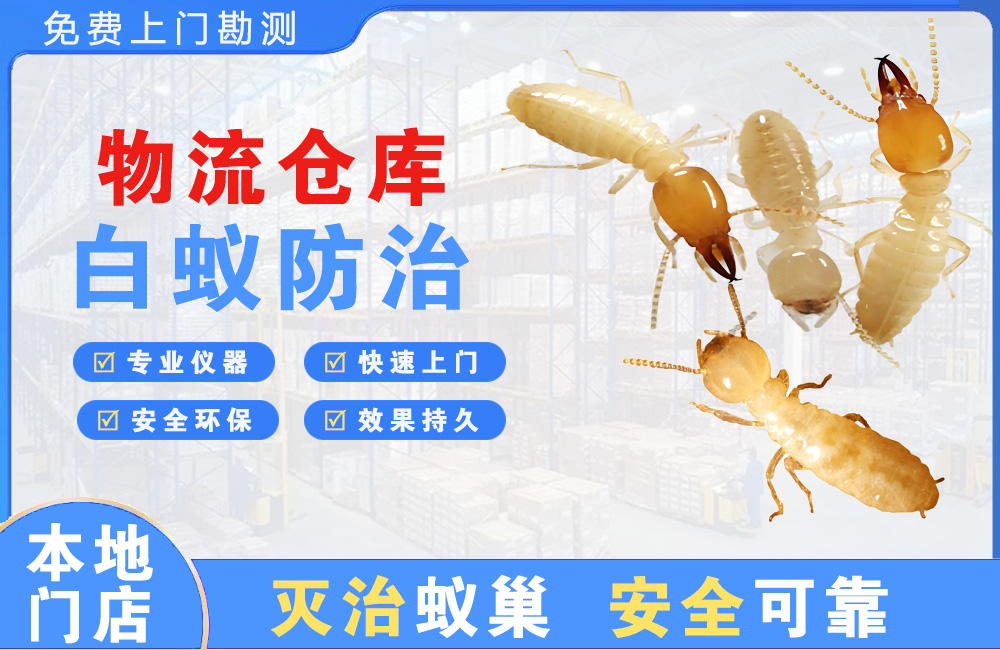 合肥物流仓库白蚁防治