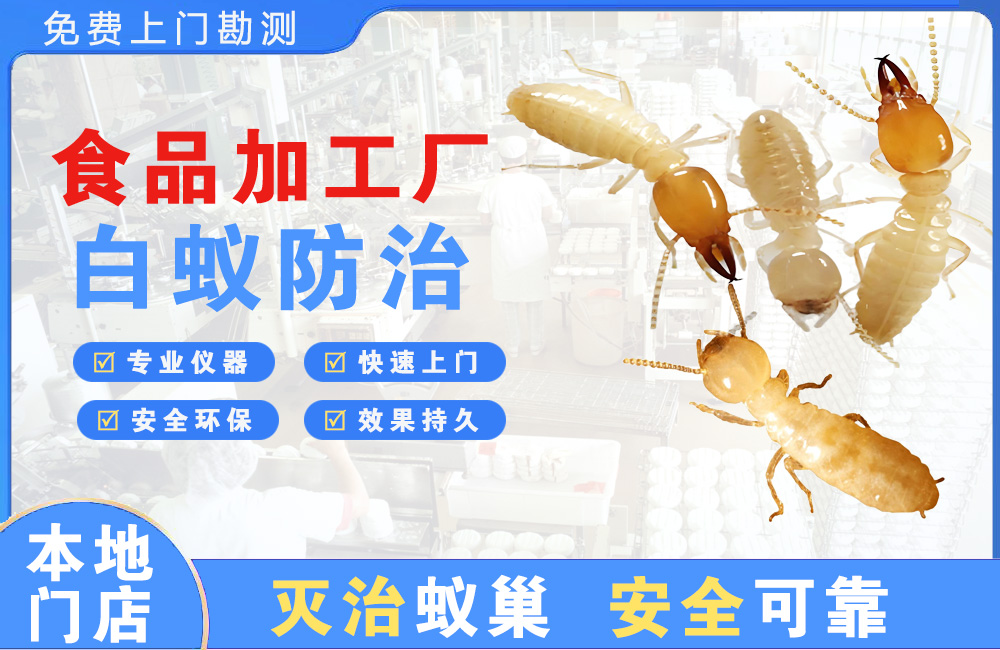 合肥食品加工厂白蚁防治