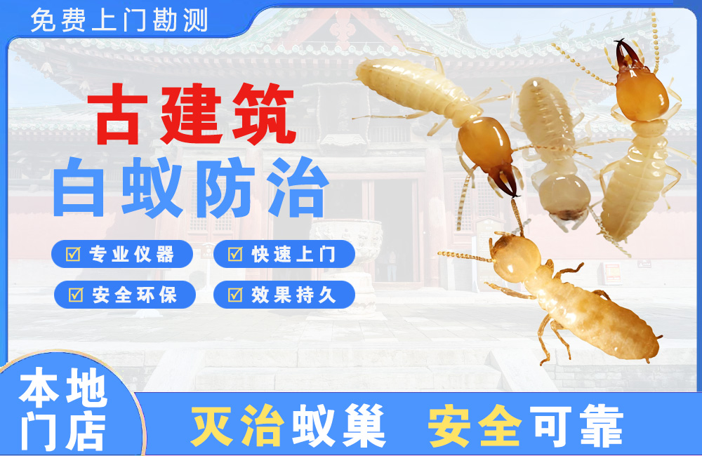 合肥古建筑白蚁防治