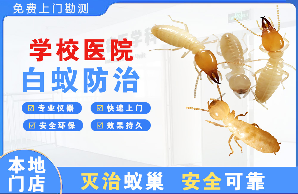 合肥学校医院白蚁防治