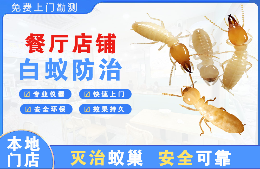 合肥餐厅店铺白蚁防治